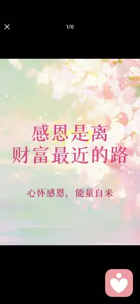感恩与宽容同行