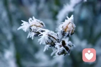 休要怪命运不公，时光匆匆。路过的风景中，哪一花哪一叶不留生命的泼墨与写意？流年的烟火中，哪一路哪一程不具生命的温暖和感动？
