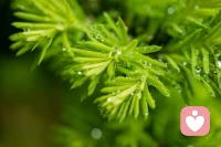 只是日月更迭，时光荏苒，怀揣一腔痴念，轮回到貌似的原点，哪里会和初见一模一样