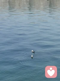 人生，就是在这样的悲欢离合中前行，无论我们遇见了谁，错过了谁，相信这一切都不是意外，情出自愿，事过无悔，不负遇见，不谈亏欠。