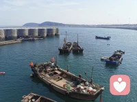 你从非不够好，只是始终奔赴更好；只是心有敏感温柔。万般模样的你，都值得自己深爱千万遍。