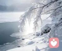 大寒已至，年味愈浓
朔风凛凛，暗蕴春意
蛰伏冬月，年关渐近
静待春来，赴一场温柔遇见！