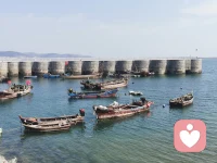 结果好坏皆为后话，
至少你亲手试过、全力拼过，
总好过日后回望，
满心都是“如果当初”的遗憾。
生活从无最好，
唯有步履不停，逐光向更好。