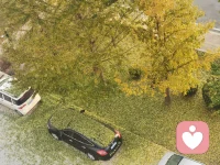 水本无痕，因风起浪；心本无事，随念生波。人生当以阅己而明澈，悦己而从容，越己而新生。不困于他人之目，亦不囿于一己之念。