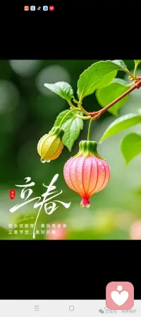 寒尽觉春生，律回岁华新。
立春，为四季开篇，为岁月添序。
风有信，花有期，
待繁花开遍，清风自来，烦忧皆去。
以此春日为契，祝君：
春祺夏安，万事胜意；
所求皆如愿，所行化坦途。配图