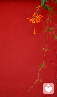 各攀青山，终归同途；
不常相见，常怀于心。
君在侧，胜却人间无数泛泛之交。配图