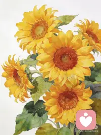 像向日葵一样，永远朝着光的方向。
心里有了光，日子就不会暗。
愿你我都能成为自己的