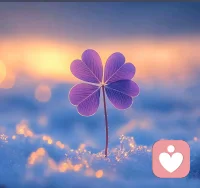 我们改变不了世界 善良一点就够了。