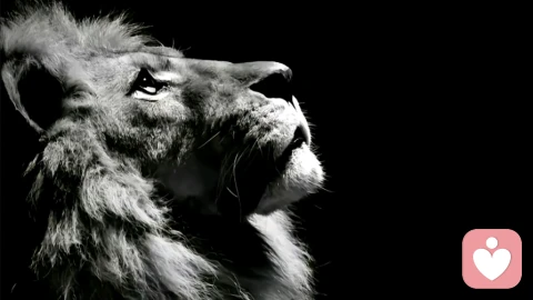 尊重每个个体，走好自己的路。