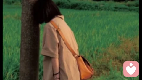 情绪不是敌人，而是信使——心理咨询师写给每一位与情绪共处的人