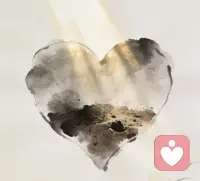 把心种在暖阳下，不与繁花争艳，只守自己的一寸清欢。