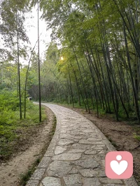 众生皆苦，唯有自渡。所有的答案都在你的问题里