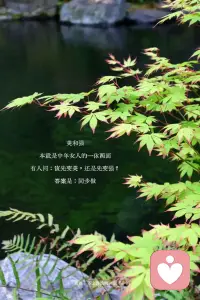 每个人，都有自己的生活轨迹
切勿，打扰他人因果
修，自己的行