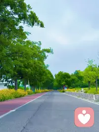 好好生活，慢慢相遇
接纳普通的自己，平凡也是一种幸运