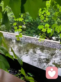 眼前的磨难，不是惩罚
而是生命阶段里一份厚重的礼物

它要教会我们的
或许正是如何在至暗时刻中
活出真正的力量。配图