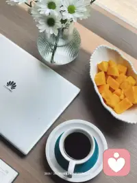 万事尽心尽力就好，
有则锦上添花，无则顺其自然。配图