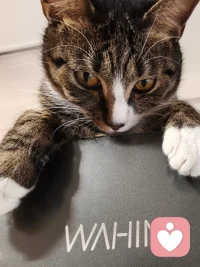 我们每个人
都要努力活出很强的自我
方不悔来过
不愧来过
这世间
偶尔的顺应自我，倒回
但
请别下沉
向上
逆流而上
活出那个，很强的自我，唯一的自我
方不悔来过配图