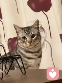 如果我们与我们赖以生存的平台保持绝对的边界，那么平台也会给予我们绝对的边界。例如，你驾驶了单位的车子不小心违了章，扣分又罚钱，那这个责任最后谁来负呢？我认为那就看个人怎么选择了，如果我们选择应该由单位来买单，那就是我们主动划清了与单位的界限，如果我们选择“是我这个人违背了规则”，那就是我们来买单。两种选择的后果是不一样的，平台给我们提供了各种机会，我们在为平台服务，那我们是不是一个共同体呢？