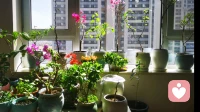 我懂你所有的沉默、不安与不敢言说