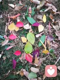 心事囿于日常，无处言说。
我不带评判，静听所有欲言又止。