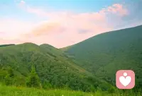 情欲在嘴唇上是蜂蜜，但进了五内则成苦汁