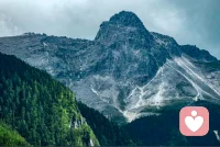 有的事只是幸福的结果，把幸福的结果作为幸福去追求，这会破坏幸福