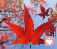 简单的的事，想深了就复杂了，想多了就繁锁了，复杂的事情看淡了就简单了，看透了就轻松了，要记住人生小满胜万全，任何时候别为难自己。