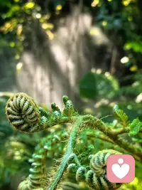 人生是用来体验的，不是用来演绎完美的，我慢慢接受自己的迟钝和平庸允许自己出错，允许自己偶尔断电，带着遗憾拼命绽放。这是与自己达成和解的唯一办法，希望我们都能放下焦虑和那个不完美的自己和解然后去拥抱那个不完整的自己配图