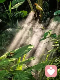 永远都不要提前焦虑，也不要预支烦恼，更不要被放不下的情绪所消耗，你只需要好好享受当下，车到山前必有路，关关难过关关过。
不要揪着过去不放，也不要过度的思考，不依不饶就是画地为牢。我们无法左右的东西太多了，握不住的东西和留不住的人也太多太多，发生这一切固然有它的道理，尽心尽力后顺其自然就好了。配图