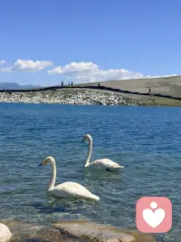 何谓爱自己？[爱心]

这是我看过最好的答案：

不讨好他人，不取悦世界，不纠结过往，不空等明天。

被爱是福分，自爱是本分。配图