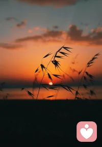 慢慢理解世界，慢慢更新自己，余生安稳，自在欢喜！把日子过清淡，把心事藏安然，岁岁无忧，浅浅欢喜。不必光芒万丈，但始终温暖有光，做自己的暖阳！配图