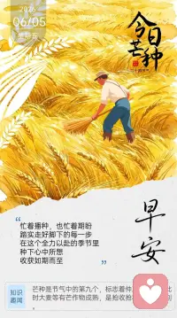 茫种染夏色，耕耘待秋实，愿人间忙碌皆有馈赠，四季烟火尽得安然。一分耕耘一分收成，愿生活忙中有乐，步步丰盈，万事兴旺