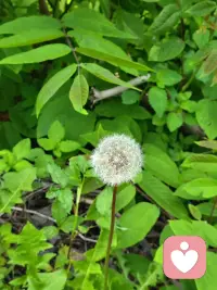 你要自己挣钱自己花，孩子散养，老公放养，自己富养，不要想着老是去改变谁，也不要想着去感动谁，也不要去钻牛角尖，自己爱自己。因为下半生不仅仅是拼的老公孩子，还有拼的是自己的身体。如果你连一个好的身体都没有，你天天这样生闷气，这里起包，那里起瘤，你哪有体力去享受你的生命？ 
放过别人，放过自己。这个世界上最好的
放生，不是买一只乌龟放到河里面去， 而是放过自己。配图