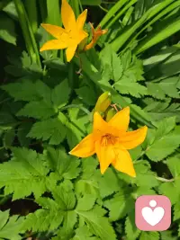 你要自己挣钱自己花，孩子散养，老公放养，自己富养，不要想着老是去改变谁，也不要想着去感动谁，也不要去钻牛角尖，自己爱自己。因为下半生不仅仅是拼的老公孩子，还有拼的是自己的身体。如果你连一个好的身体都没有，你天天这样生闷气，这里起包，那里起瘤，你哪有体力去享受你的生命？ 
放过别人，放过自己。这个世界上最好的
放生，不是买一只乌龟放到河里面去， 而是放过自己。配图