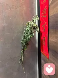 五月初五正端阳，
七彩新丝粽叶香。
风调雨顺歌盛世，
汨罗江上竞舟忙。
千古离骚爱国赋，
路漫漫兮永流芳。
艾叶飘香佳节至，
远方亲人可安康？配图