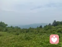 人想开了就是幸福，想不开就是痛苦；很多时候不是跟事儿过不去，而是跟自己的心过不去。只要顺其自然，一切不过如此；时间一天比一天少，我们一天比一天老。一花一世界，一叶一菩提。本来无一物，何处惹尘埃……配图