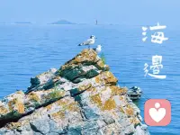 最好的放生就是放过自己，人生苦短别跟自己过不去，凡事放得下才能拿得起，生活就是自己哄自己，无所谓没必要爱谁谁不至于、都能理解都能接受都能过去，有个好身体是最最重要的，其他的全都不值一提。配图