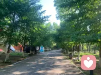 很多人，一辈子都在忽略自己、束缚自己、攻击自己、毒害自己、局限自己：不停的自我否定，觉得自己不行、自己不好；不停的给自己设限，觉得自己做不到、自己不配得；不停的内耗，用别人的错误惩罚自己，用过去的事情折磨自己。”
      真正的疗愈，是觉醒开悟、明心见性。你只需要回到本来面目，不用刻意去疗愈——当你回到生命源头，所有所谓的创伤都会自然消失。