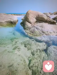 你知道我为什么不诉苦吗？因为我没有那个拿我如命，视我如宝的人，我只希望自己是个铁人，没有眼泪，也没有悲伤，不用向任何人示弱，更不用等谁来安慰，我不需要什么避风港，风雨只能自己挡，没有风，我就走快点，有风了我就走慢点，下雨了，我就靠边走。淋湿了就自己擦干，世间万般苦楚，只能独自消化，坚强，独立是我唯一的选择，加油！配图