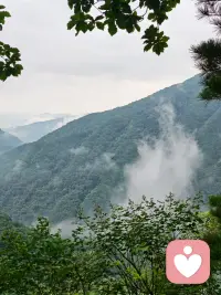 其实人经历了众多磨难之后，就会原谅所有的事，而不是单单过的好的时候，因为那时才会懂得站的位置不一样，看到的东西就不一样，做的事情就会不一样，才会真正发自内心的善良。加油！