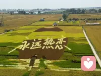 女人其实不怕苦。他怕的是你不心疼。他怕的是你不心疼他的。女人也不怕付出，她怕的是所有的付出都被辜负，贫贱他能忍啊，只是他害怕等你功成名就之后，早已忘却了他陪你熬过的苦日子，却只记住了他，因为缺乏安全感，咄咄逼人的样子。再累女人也能撑她，只是害怕她处处的包容体谅，到头来在你心里却比不过那些酒肉朋友的说多了怕烦，少说了又怕嫌，所有的话在喉咙里面进退两难。女人最害怕的是嫁给了一个难以沟通的男人，哑巴吃黄连。你们害怕什么呢？
