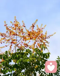 很喜欢弘一法师的一句话：成年人的世界，除了生命的终点越来越近，其他都是渐行渐远，再无归期。人的一生怎么度过，才算有意义，一千个人眼中有一千种答案，人生本没有什么意义，你赋予它什么意义，它就有了什么意义。朋友，你赋予它什么意义呢？