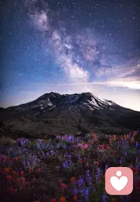 越长大越觉得比起诉说自己的委屈与不甘，沉默最好，反正你信你的，我活我的。配图