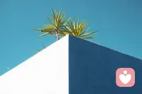 我不断探索着自己的极限，只有在极限边缘我才感觉自己真实地活着。我从来不是最快的，最强壮的人，也没有什么是最擅长的，但只有这样才能激发我的热情。配图