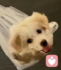 这是一个虚假的世界，好多人都很水的，别把他们想得都那么强大配图