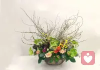 珍爱生命，远离鸡汤，散养的也不行配图