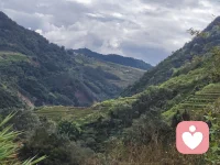 从柴米油盐的日常里慢慢沉淀，在婚姻与生活的打磨中学会共情。我走过的路、遇过的坎，都能化作倾听你的耐心，陪你一起梳理情绪，找到内心的力量。