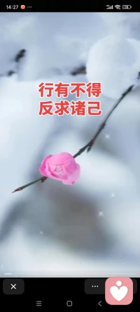 心存美好善意，一切美好如约而至🌺