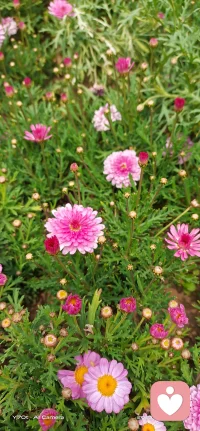 在这里，您可以放松自己的心，释放您的压力和无奈配图