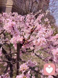 一切的来源，全来自心，心美世界就美了😊